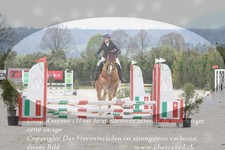 ref. photo 3141208