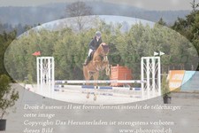 ref. photo 3141209