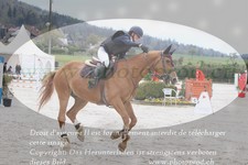 ref. photo 3141212