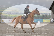 ref. photo 3141218
