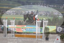 ref. photo 3141225