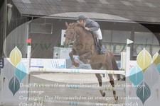 ref. photo 3141257