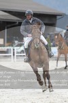 ref. photo 3141259
