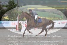 ref. photo 3141262