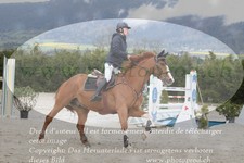 ref. photo 3141277