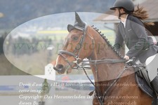 ref. photo 3141281