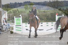 ref. photo 3141284