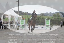 ref. photo 3141288