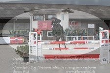 ref. photo 3141294