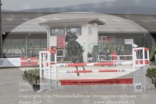 ref. photo 3141301