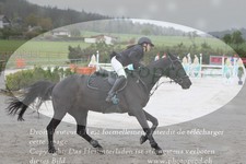 ref. photo 3141309