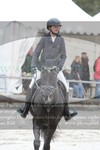ref. photo 3141310