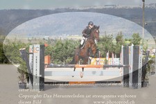 ref. photo 3141312