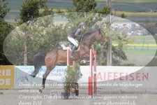 ref. photo 3141318