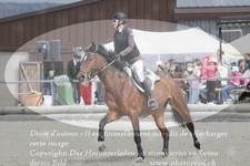 ref. photo 3141323