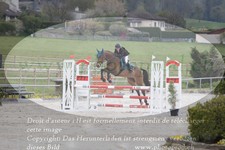 ref. photo 3141344
