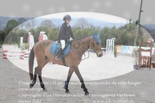 ref. photo 3141346