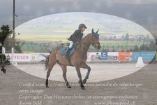 ref. photo 3141349