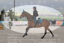 ref. photo 3141351