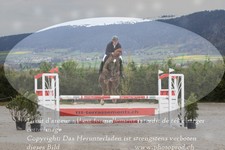 ref. photo 3141369