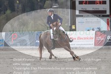 ref. photo 3141376