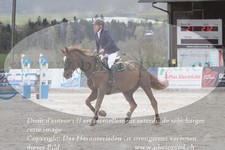 ref. photo 3141377