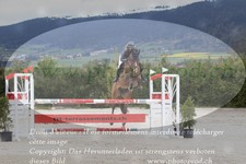 ref. photo 3141380