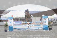 ref. photo 3141382