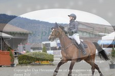 ref. photo 3141383
