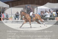 ref. photo 3141411