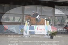 ref. photo 3141422
