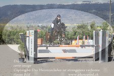 ref. photo 3141431