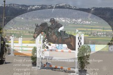 ref. photo 3141432