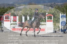 ref. photo 3141434
