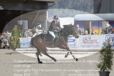 ref. photo 3141436