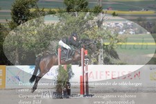 ref. photo 3141438
