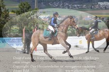 ref. photo 3141443
