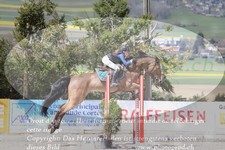 ref. photo 3141445