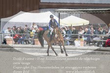 ref. photo 3141446