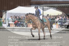 ref. photo 3141447