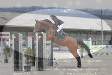 ref. photo 3141450