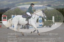 ref. photo 3141459