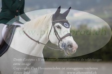 ref. photo 3141463