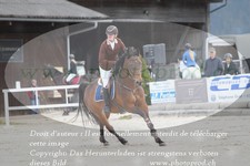 ref. photo 3141468