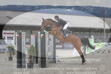 ref. photo 3141476