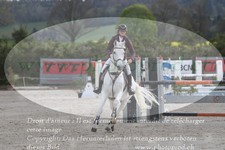 ref. photo 3141484