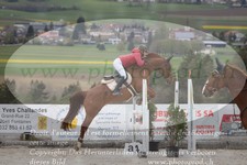 ref. photo 3141487