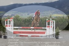 ref. photo 3141489
