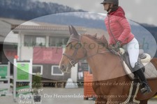 ref. photo 3141493