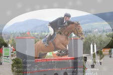 ref. photo 3141499